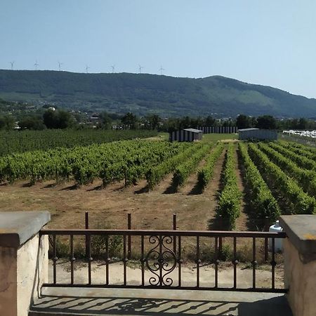 Agriturismo Il Casale Del Cavaliere Sant'Agata de' Goti Exterior foto